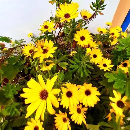 Remvi Livadi (Kythira)